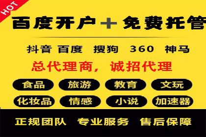 SEM运营策略案例分析